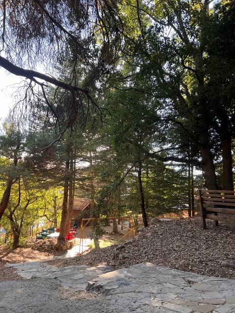 Sol Ehden — photograph 4