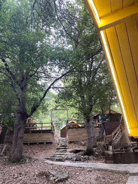 Sol Ehden — photograph 5