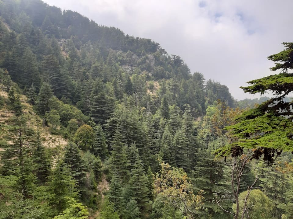 Ehden
