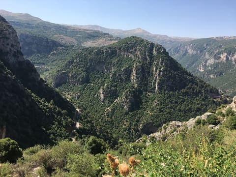 Horsh Ehden — photograph 2