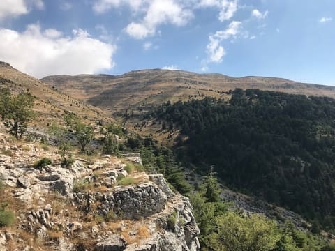 Horsh Ehden — photograph 5