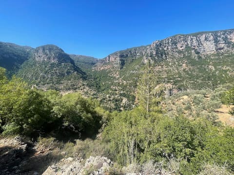 Qannoubin Valley — photograph 2