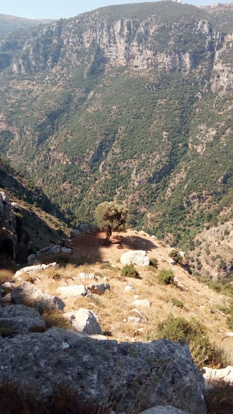 Qannoubin Valley — photograph 3