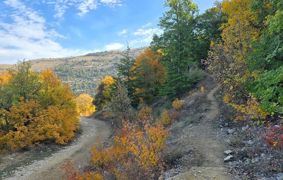 Horsh Ehden Nature Reserve Ain el Bayad Visitor Center