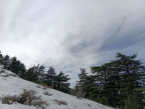 Horsh Ehden Nature Reserve Ain el Bayad Visitor Center — photograph 2
