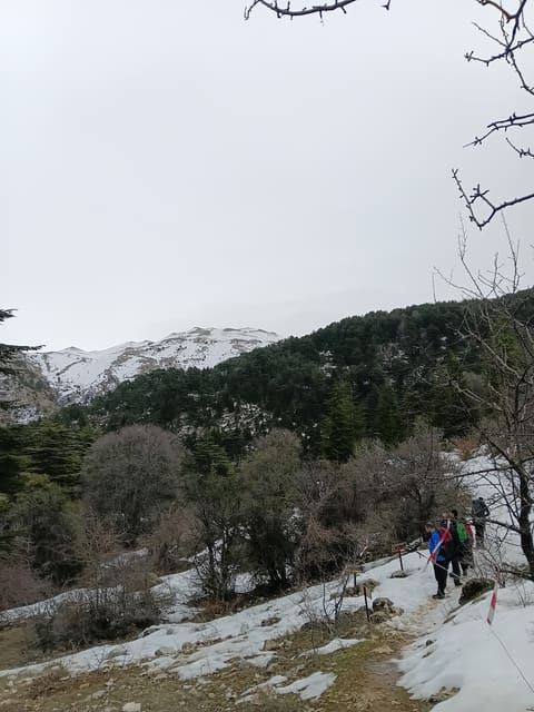 Horsh Ehden Nature Reserve Ain el Bayad Visitor Center — photograph 4