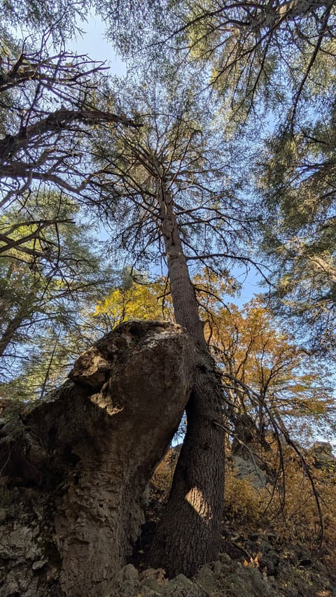 Ain Naasa — photograph 5