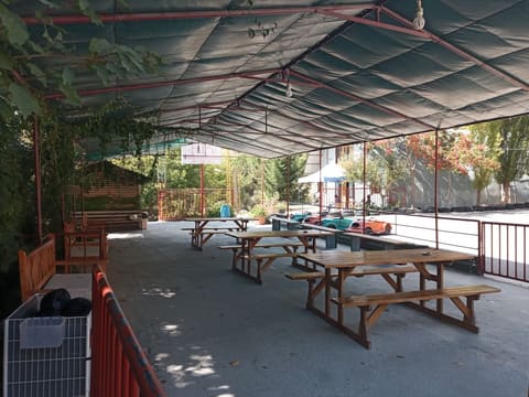 Karting Zone — photograph 5