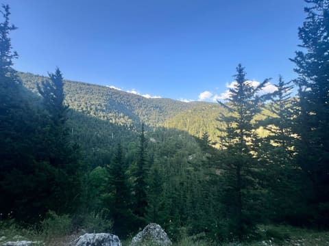 Ehden El Hob — photograph 2