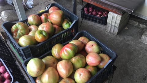 Maroun's Fruitshop — photograph 6