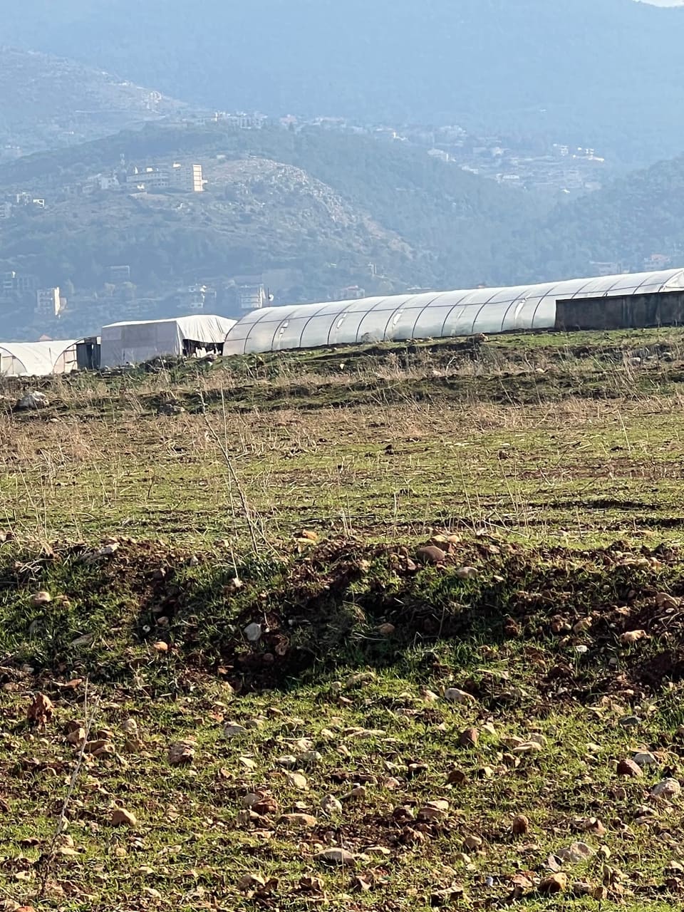 Planted plastic farm Daboussi