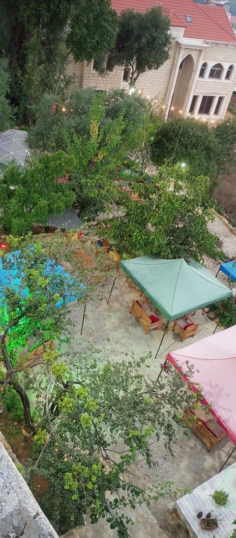 NB Garden — photograph 4