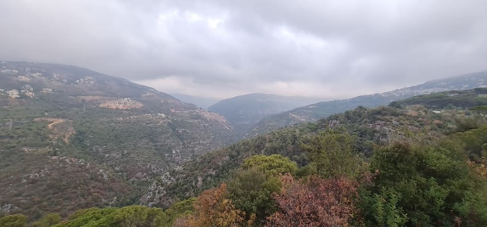Araya park