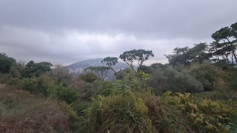 Araya park — photograph 2