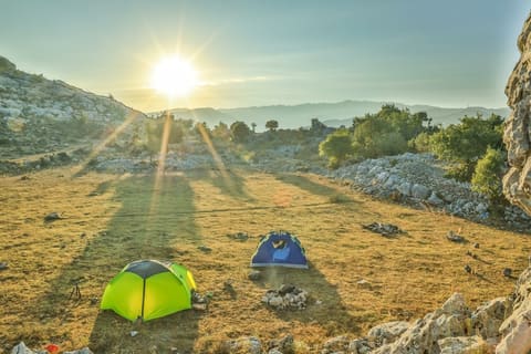 Haqel Camping — photograph 4
