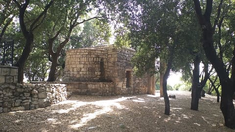 Saydet Al Mazra'a - Bejjeh — photograph 4