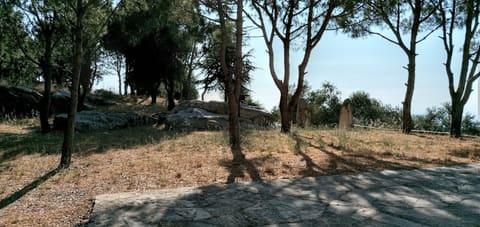 St. Theodoros Church — photograph 5