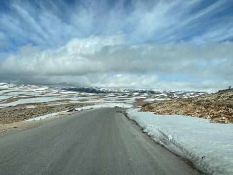 Rodolph Farah — photograph 3