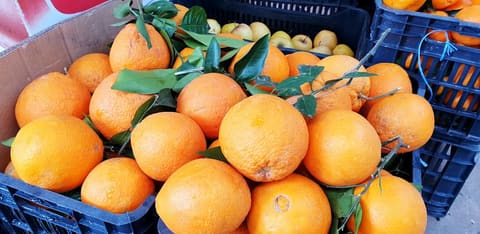 Souaïby Market — photograph 5