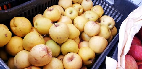 Souaïby Market — photograph 6