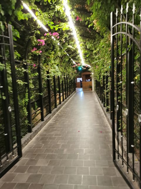 Zain Farm — photograph 5