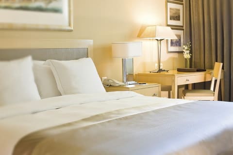 Mövenpick Beirut — photograph 6