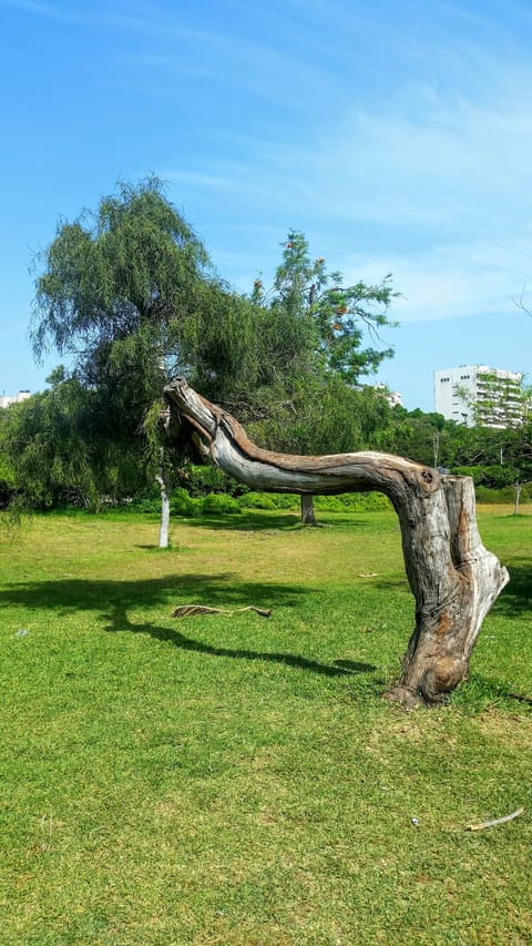 Kasskass Garden — photograph 3
