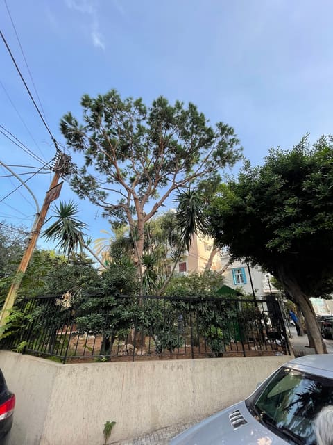 William Hawi Park — photograph 2