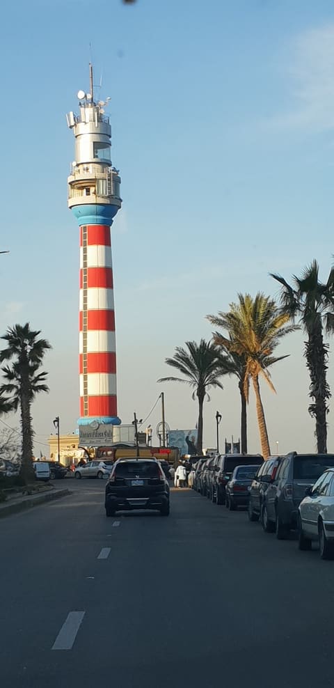 Lebanese Professional — photograph 2