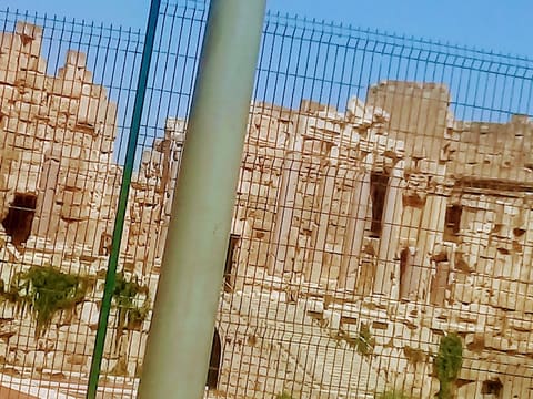 Lebanese Professional — photograph 3