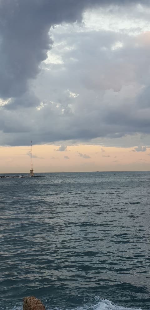 Lebanese Professional — photograph 4