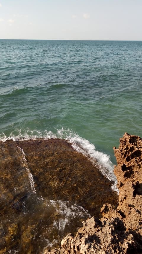 AlZohbi Grill — photograph 4
