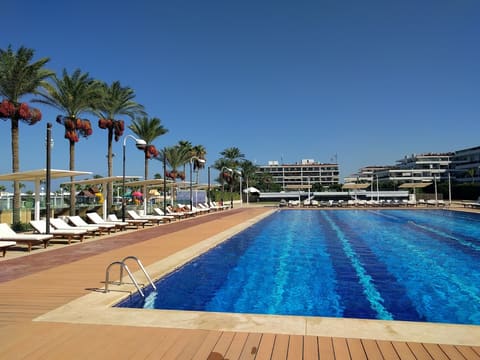 Palma — photograph 3