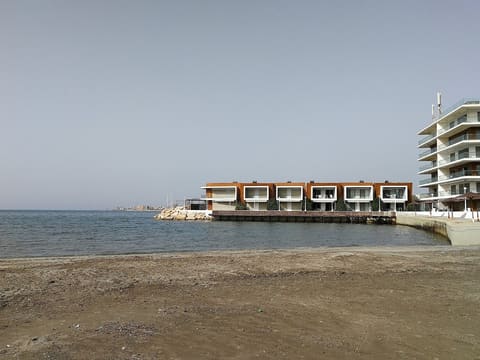 Palma — photograph 6