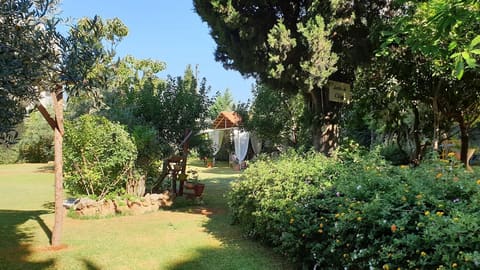 Chateau Des Oliviers — photograph 4