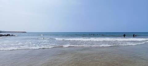 Canaria Beach — photograph 4