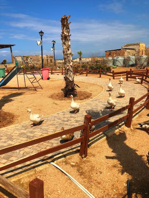 Abed l Wahab Island — photograph 4
