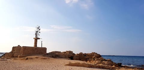 Abed l Wahab Island — photograph 5