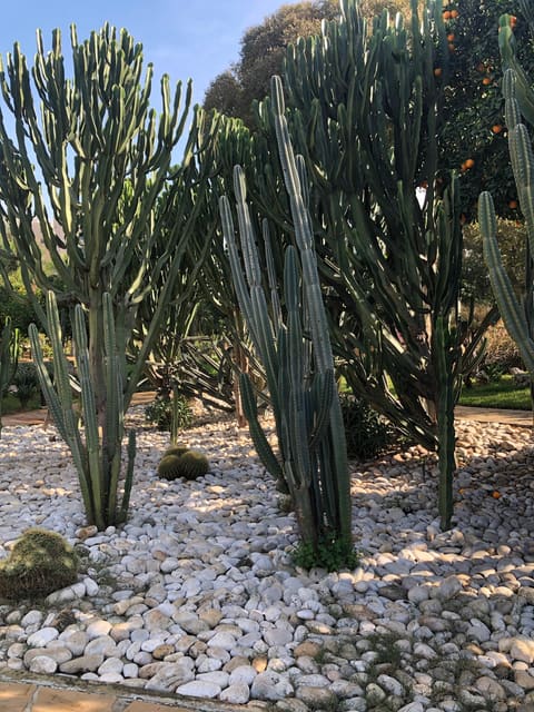 Wissam el hasan Park — photograph 2