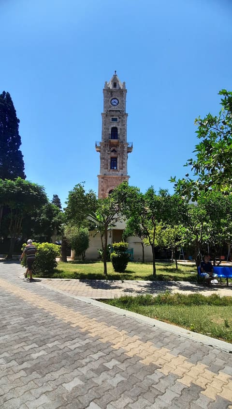 Al Manchieh Park — photograph 3