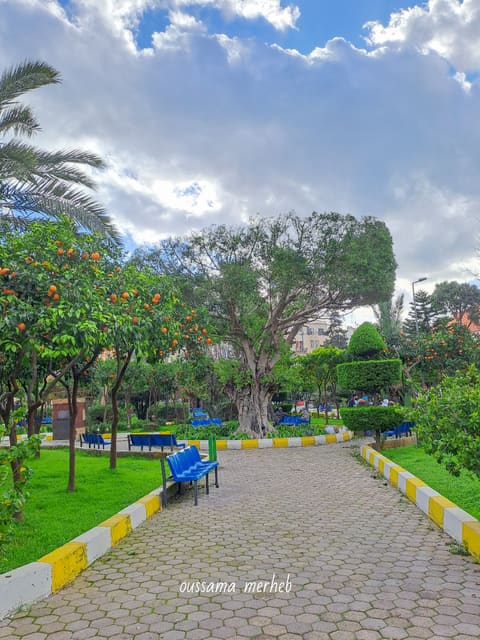Al Manchieh Park — photograph 6