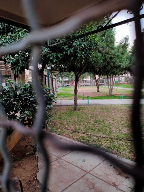 Moharram Park — photograph 5