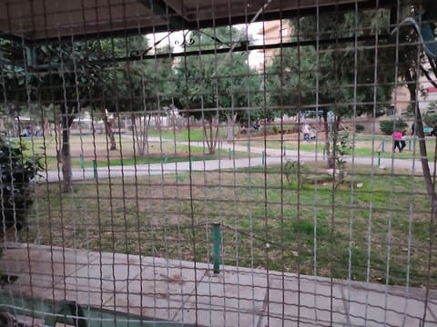Moharram Park — photograph 6