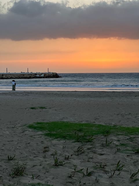 Naji sea view — photograph 4