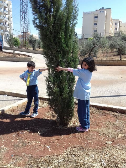 Mahmoud Hallab Park — photograph 2