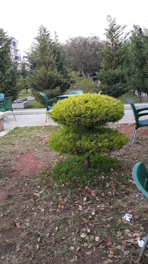 Mahmoud Hallab Park — photograph 5