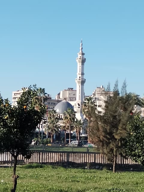 Dawar Abou Ali — photograph 3