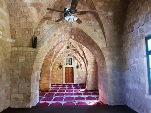 Taynal Mosque — photograph 5