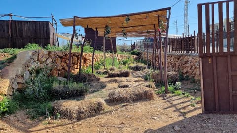 Boustan Salma — photograph 5