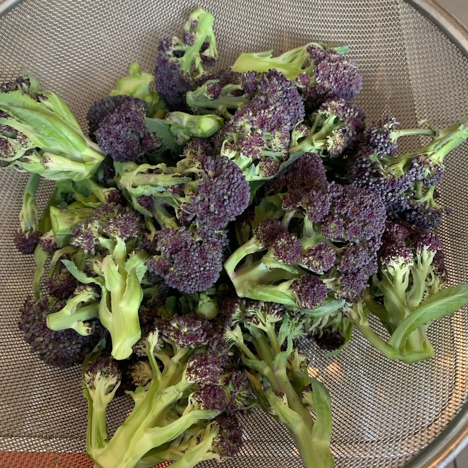 Farm-Basket